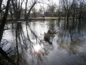 Wiosna - Brodnica