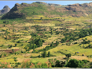 Ethiopia 0732