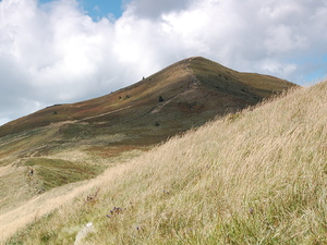 Bieszczady 