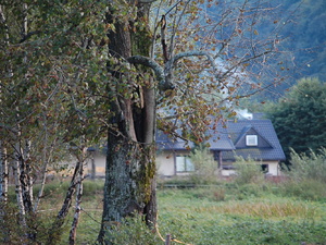 Bieszczady 