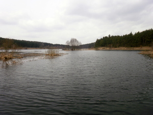 Wiosna - okolice Lubawy