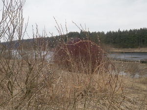 Wiosna - okolice Lubawy