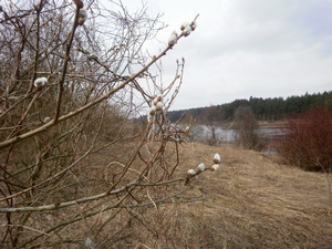 Wiosna - okolice Lubawy