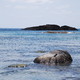 otaczający ocean