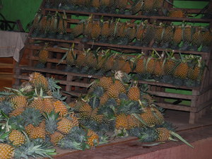przydrożny stragan z ananasami