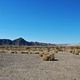 Pustynia Mojave 