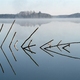Jezioro Ostrowieckie 1