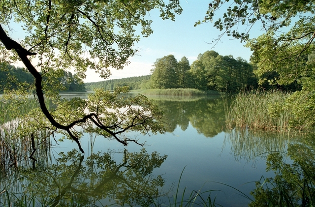 Jezioro Ostrowieckie 3
