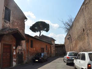 Rzym