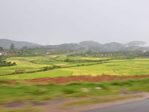 W drodze z Antananarivo do Ambalavao