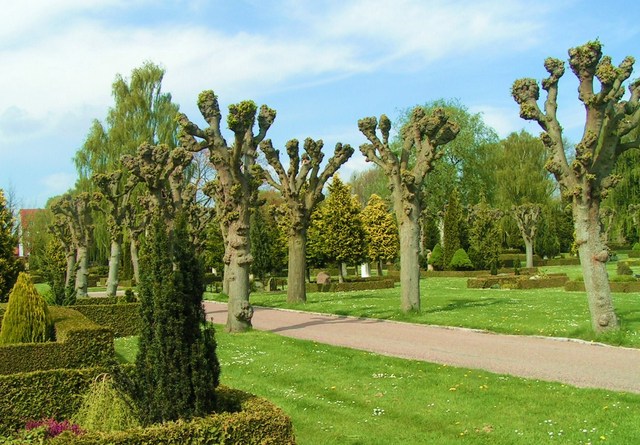cmentarz w Horsens
