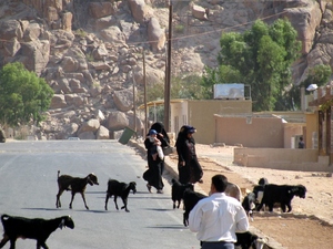 Wadi Rum - wioska Beduinów