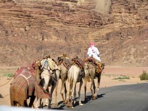 Wadi Rum - karawana