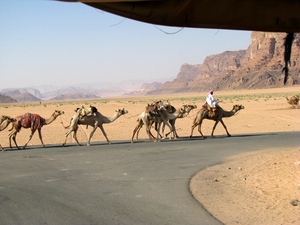 Wadi Rum - karawana