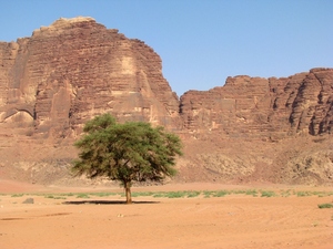 Wadi Rum