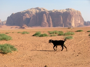 Wadi Rum