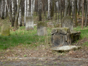 Cmentarz w Warszawie (Bródno)