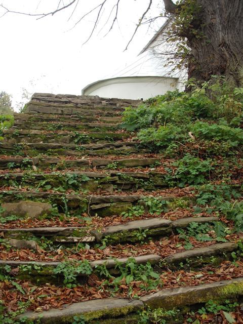 zapomniane schody