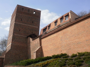 Toruń (1)