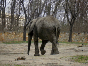 Warszawskie ZOO