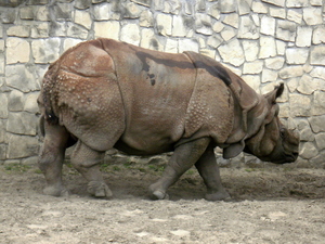 Warszawskie ZOO