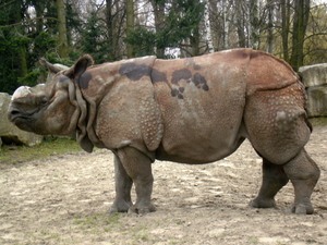 Warszawskie ZOO