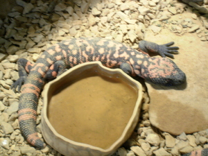 Warszawskie ZOO