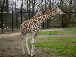 Warszawskie ZOO
