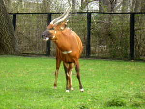Warszawskie ZOO