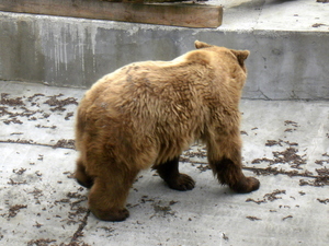 Warszawskie ZOO