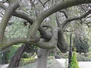 we wrocławskim ogrodzie botanicznym