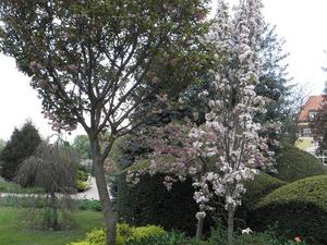 we wrocławskim ogrodzie botanicznym