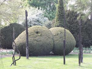 we wrocławskim ogrodzie botanicznym