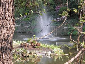 we wrocławskim ogrodzie botanicznym