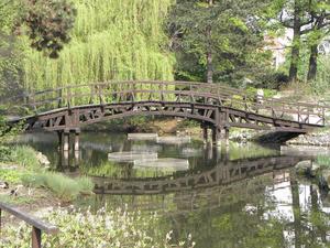 we wrocławskim ogrodzie botanicznym