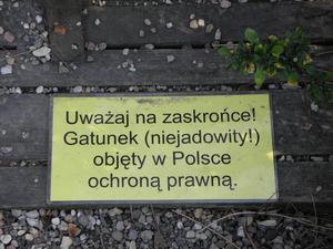 we wrocławskim ogrodzie botanicznym