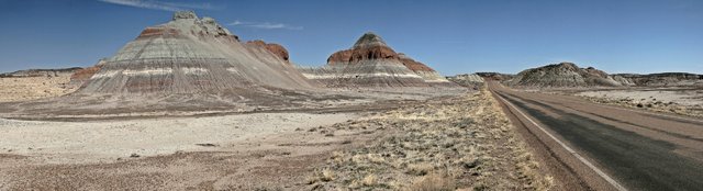 Petrified Forest - Panorama