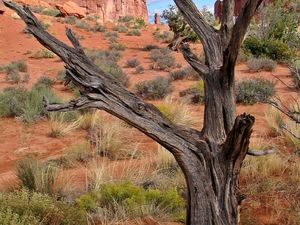 Arches NP