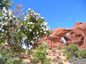 Arches NP