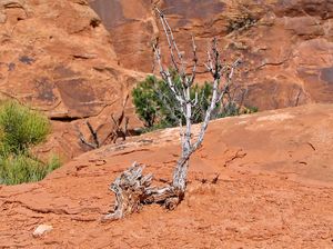 Arches NP