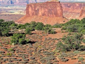 Canyonlands 