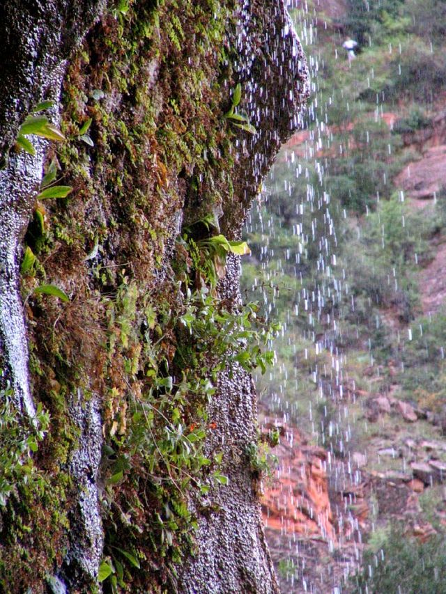 Zion NP