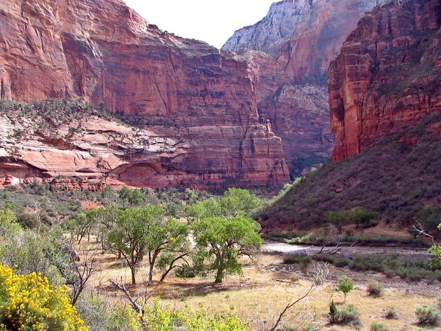 Zion NP