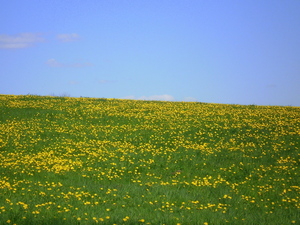 Wiosna - okolice Ostródy