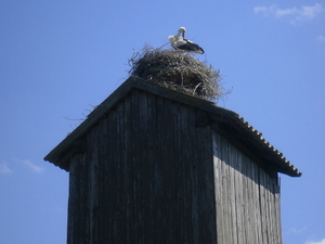 Wiosna - Warmia