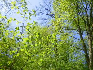 Wiosna - Warmia
