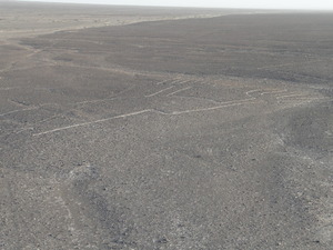 linie Nazca ręce