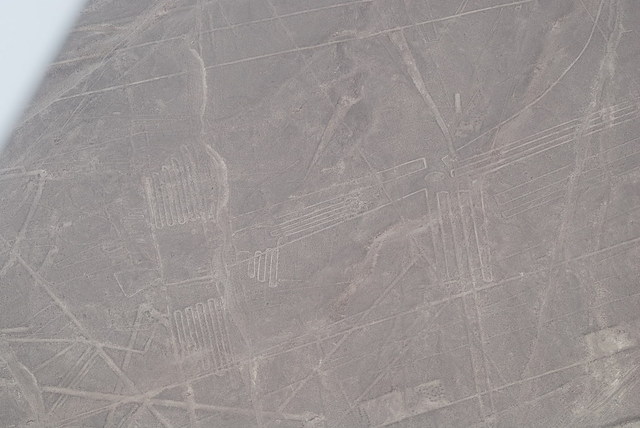 linie Nazca