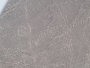 linie Nazca