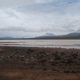 Park narodowy jezior słonych i wikunii
